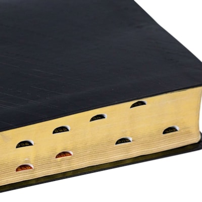 image_e55c5baf-b97f-4e5d-b0ba-3d3c5a2d5795