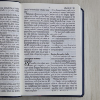 image_0359daaa-4603-47cf-a17f-7cc595e3d5e4