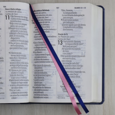 image_63ff80fc-2132-460e-beca-6fa406bcc379