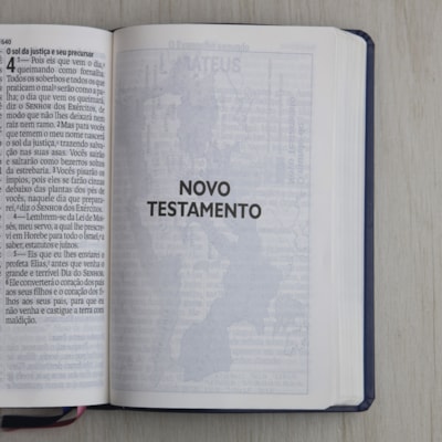 image_e4bb50f1-7c66-43f9-b485-19c1bfa18af9