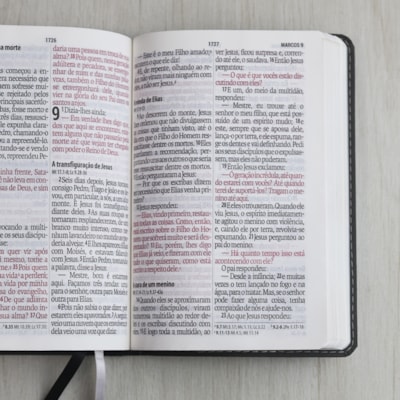 image_e3f16f1e-237c-40d4-94db-c271e5433d70