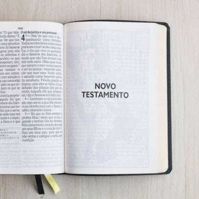 image_e2f6e95c-6a8e-4bc5-acea-d1805e2663f1