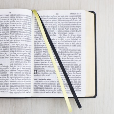 image_3e6878ae-47aa-46a4-af4f-372fe6eef0c2