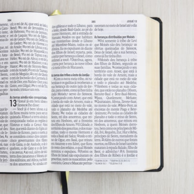 image_e9902d92-42ae-4056-8d20-8843dc89b1c2