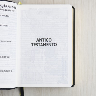 image_e5a7fe9a-5d20-42cd-bb70-c9b7de416c12