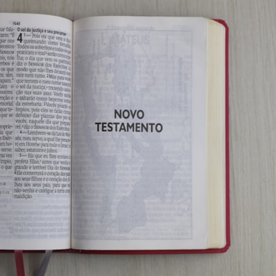 image_5dfd9156-43df-4d47-9966-0b43fcdfa558