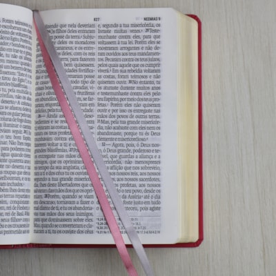 image_fd5960b4-ff9e-46ee-bbcc-7b4696ae955f