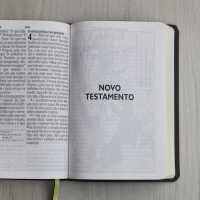 image_b6558b35-b9e6-436c-853c-ffca49746dd9