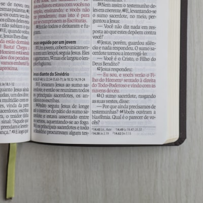 image_1f331dfd-4923-48ea-83db-66ac75cf4d8c