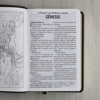 image_8b35d3c1-19d9-4493-abee-9b990066928c