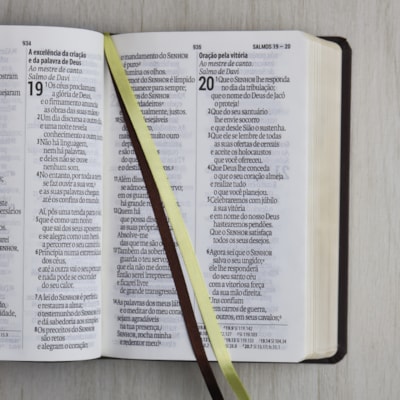 image_68c01b1a-25d2-4d4d-8f4f-77f22036747a