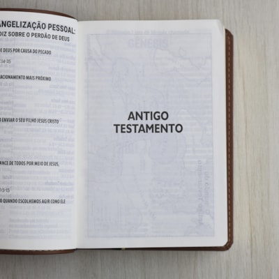 image_01bf44b3-30d2-4e21-98cd-b093f0bdeec1