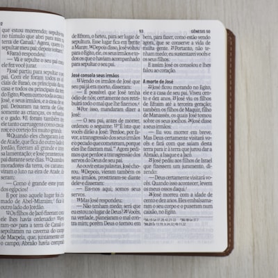 image_5c2e1dec-45a1-4423-aa39-60cd689bc9c7