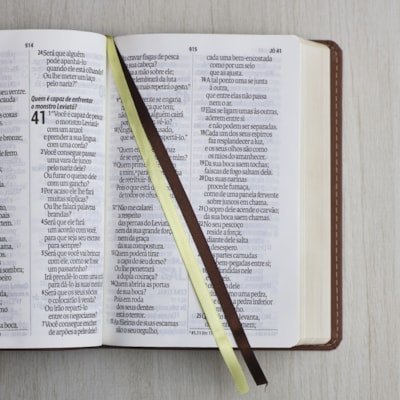 image_cb754c0a-4b07-4b59-9b08-66f00241af67