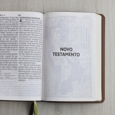 image_bae2224e-d3a1-420d-af1a-c27808dcc267