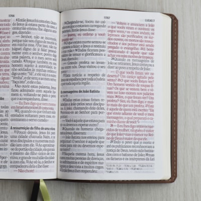 image_c69acb59-3423-4cd0-ae66-fdcec9391802