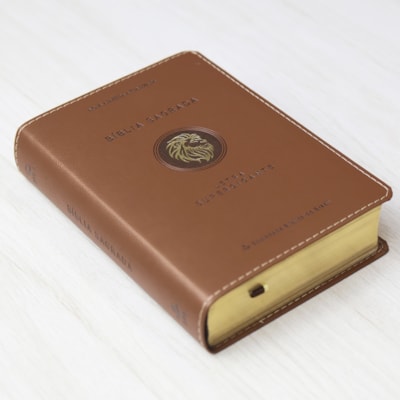 image_591b272a-6e26-4ab6-ae15-d195918f178a