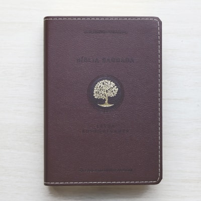 image_b1d57e8c-7f18-489e-aac8-0b8332b542c2