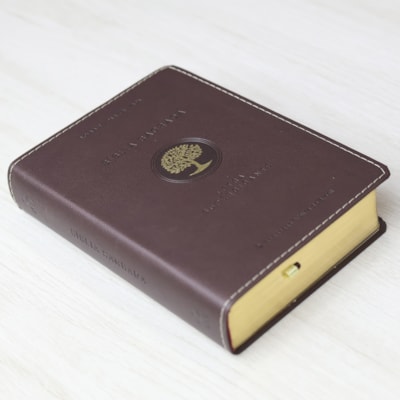 image_8cd0c934-e0da-4d74-8663-6e76b2d71e36