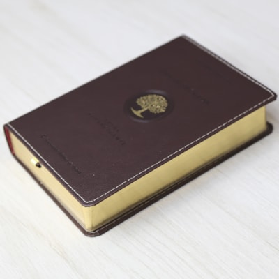 image_2895989d-5f76-4357-ac36-e5fd0cc13fd6