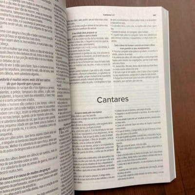 image_25b2f46d-e0a8-4bbc-9c68-5f0b56b51b65