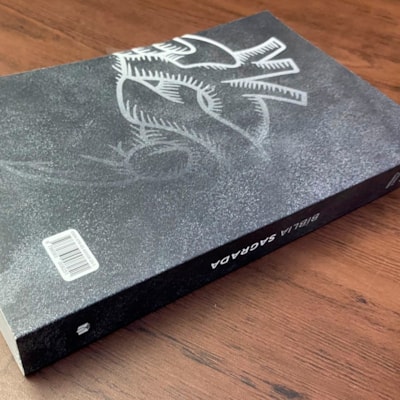 image_3c0695ea-63f9-49a9-8372-9063dda544f7