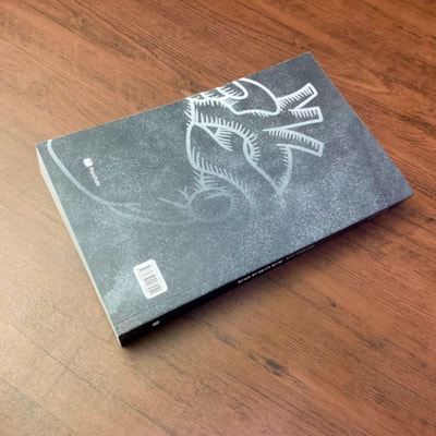 image_49b1003c-a82e-4413-869b-b3e13c2f2c06