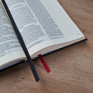 Bíblia Sagrada Lettering | NVI | Capa Dura com Espaço para Anotações