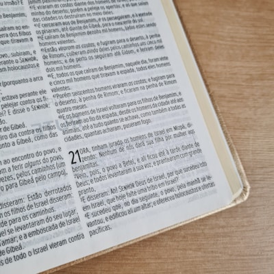 image_0a443d79-717d-4d05-8227-3653e2709c7f