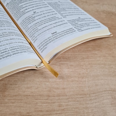 image_e13682ed-1b45-4cfe-abe5-c6de54df0770