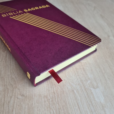 image_d33be3d4-76a6-4006-8ef5-80e3d649e957