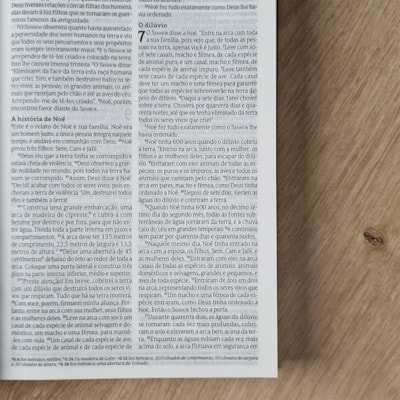 image_6fa294c7-883c-4274-b202-91bcf6e6a89a