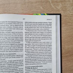 Bíblia Sagrada Lion Colors | NVT | Letra Normal | Capa Dura