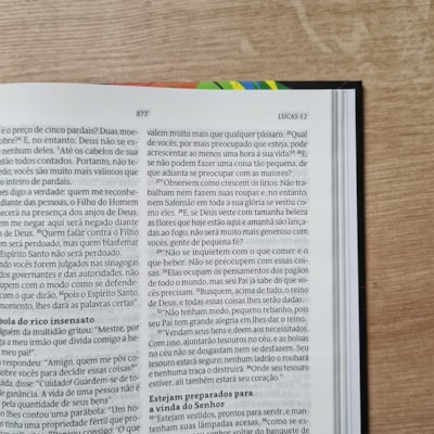 image_1062fc5f-0b3d-4d57-b4cf-0794e446bf1b