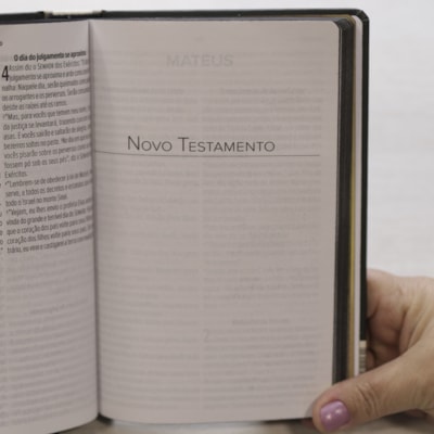 image_62d366d7-ea51-4e80-88ab-88d344235100