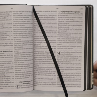 image_5ce176e6-5674-40d4-8133-92c616c818c8