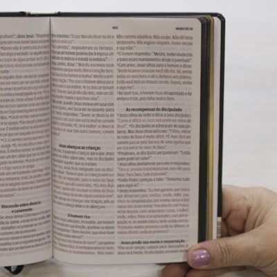 image_f2221026-fa11-4159-882e-d6601f430651