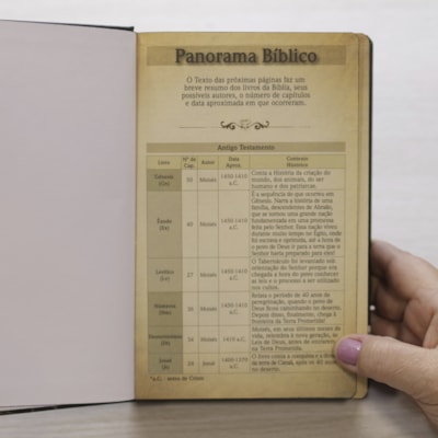 image_868cd7ca-79de-421a-98de-28b65c2c389f