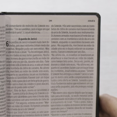 image_a5981d50-9563-4f14-93ee-1018140ec1df