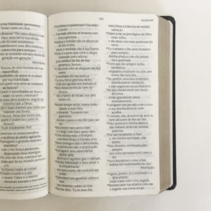 Segunda imagem do produto Bíblia Sagrada Lion Head | NVT Letra Grande | Capa Soft Touch Leão