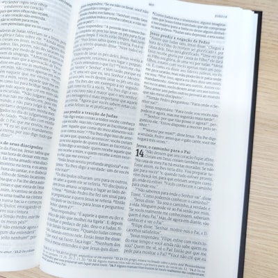 image_dd568144-0cde-4dca-acc5-fc547b424a00