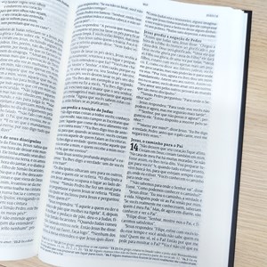 Bíblia Sagrada Lion Head | NVT Letra Normal | Capa Dura Soft Touch