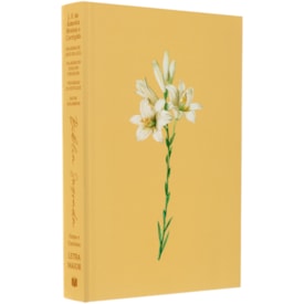 Bíblia Sagrada Lírios | ARC | Letra Maior | Harpa e Corinhos | Capa Brochura