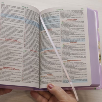 image_0b353671-740d-42c8-a954-aa27b2d907f7