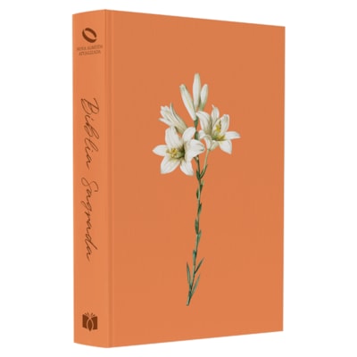 Imagem Principal - c026170f-ddea-4f58-b03c-5f1574932de0