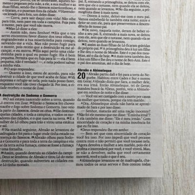 image_ea08ac53-0be4-4889-8576-5e8c68093422