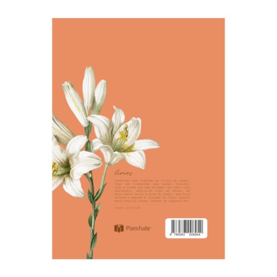 image_5ba6a952-c60e-4a5c-a28f-5d5fa1a7a099