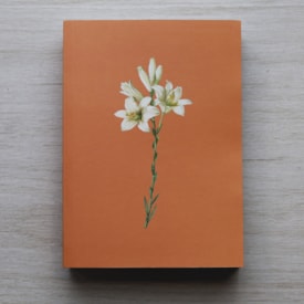 Segunda imagem do produto Bíblia Sagrada Lírios Laranja | NAA | Letra Normal | Capa Ilustrada