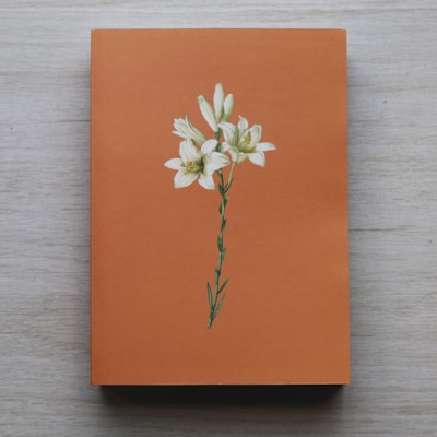 image_f7be5fa0-a06a-4c9b-8776-694b28c0168c