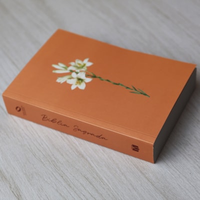 image_fa17ffe5-f997-4798-8cbb-29296785c274